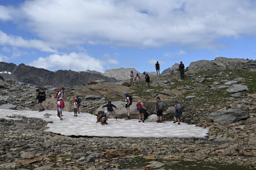 DSC_2908.jpg